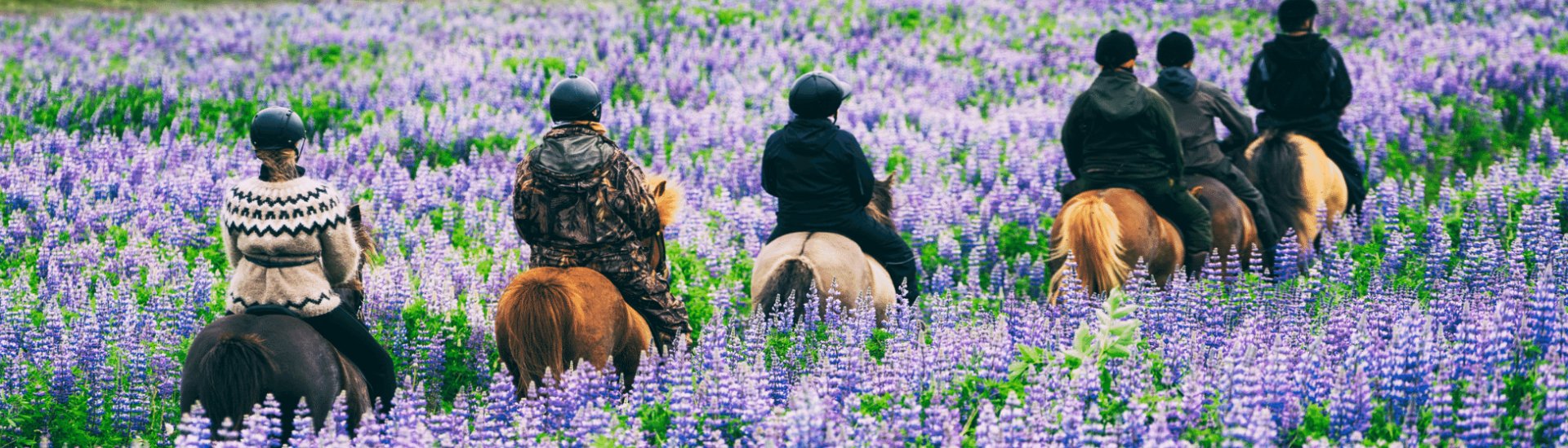 Horseriding-Iceland