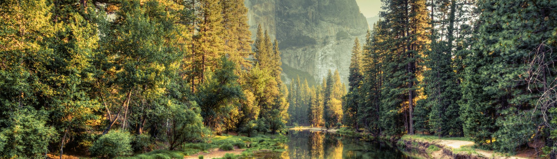 California Yosemite